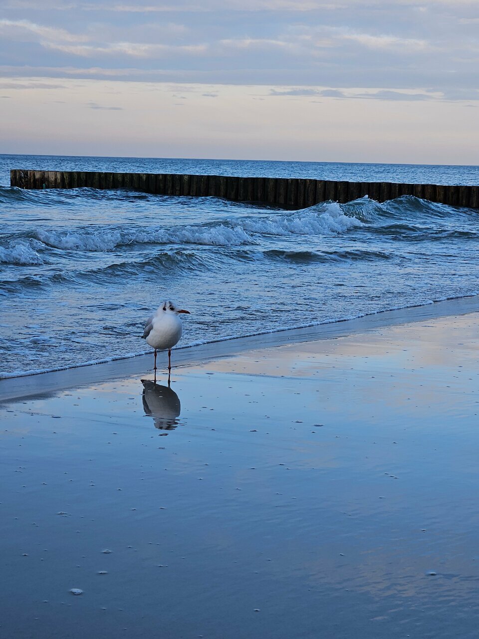 Гостиница Кристалл Зеленоградск-35
