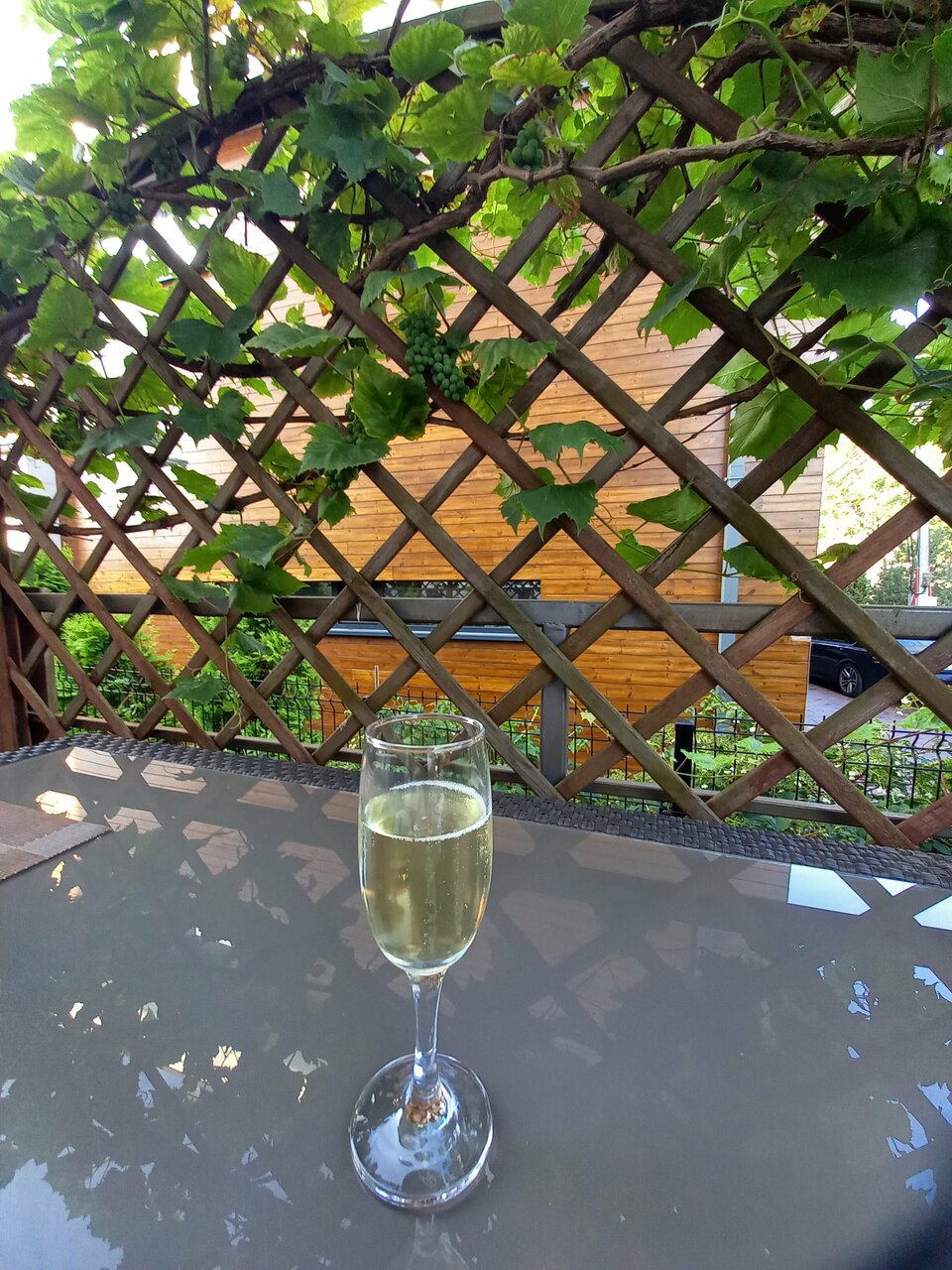 Гостиница Кристалл Зеленоградск-117