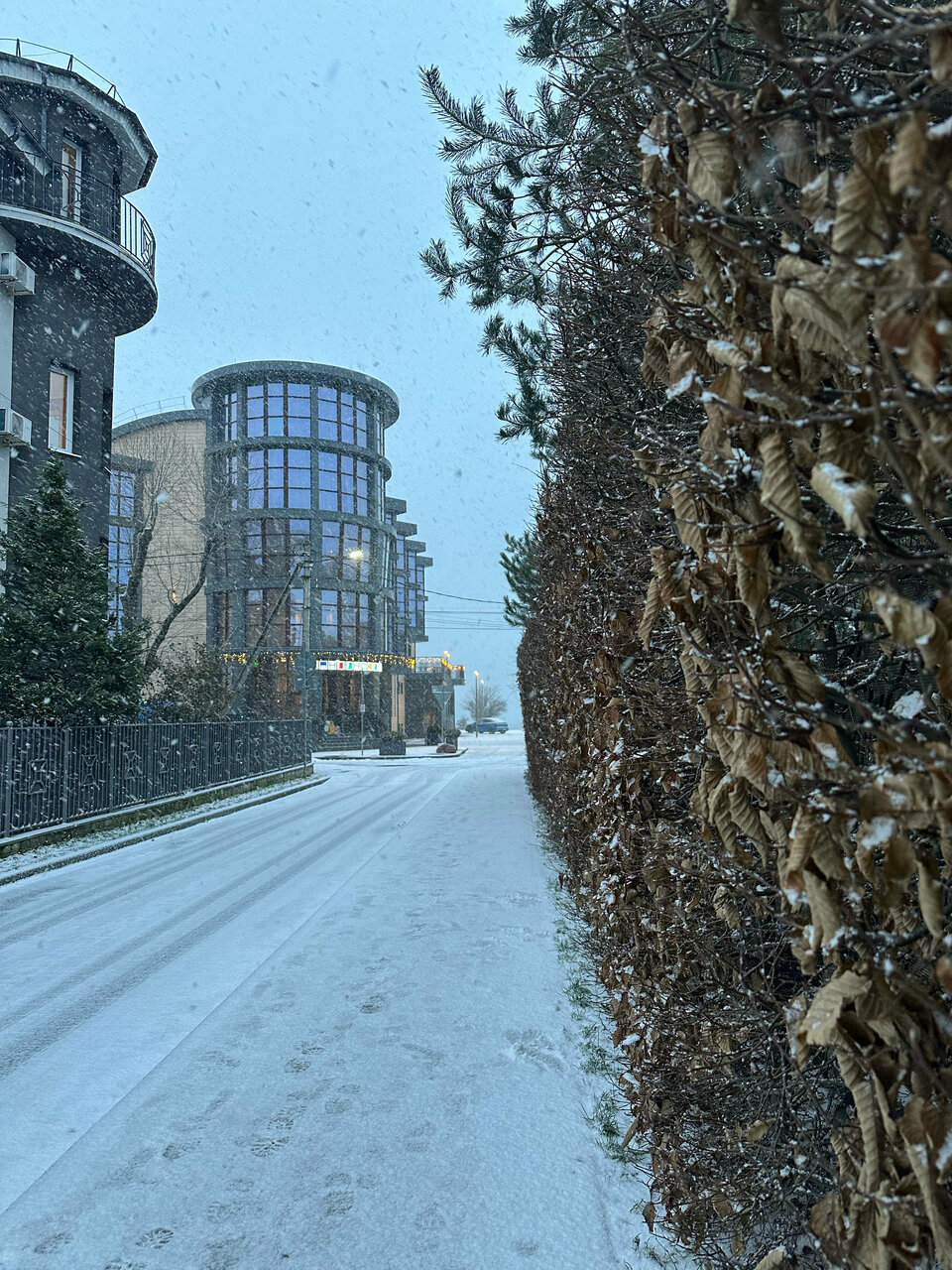 Гостиница Кристалл Зеленоградск-15