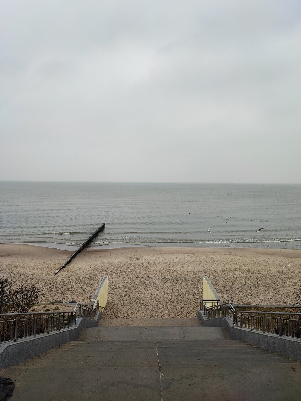 Гостиница Кристалл Зеленоградск-65