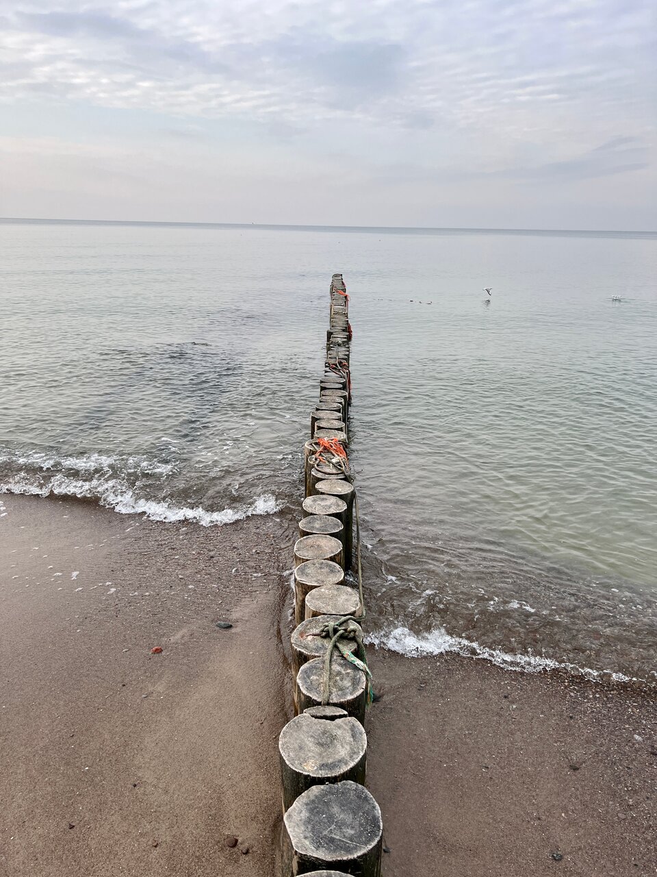 Гостиница Кристалл Зеленоградск-41