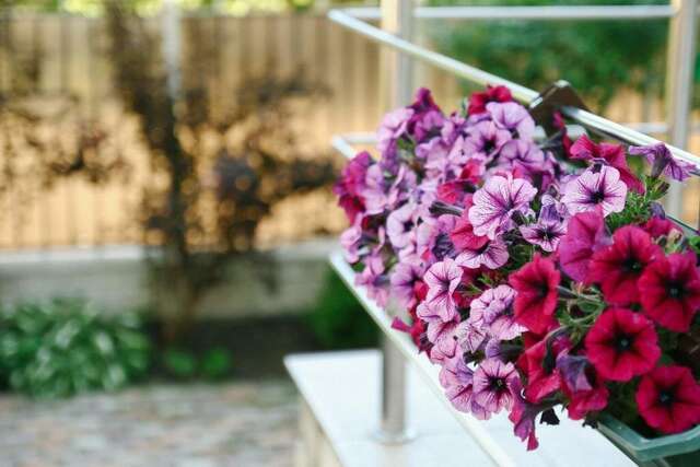 Гостиница Кристалл Зеленоградск-30