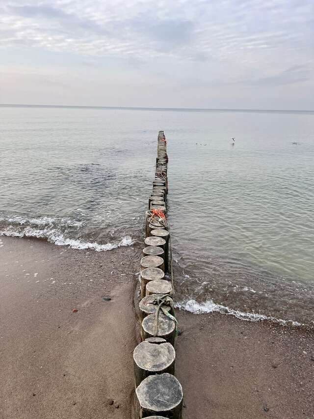 Гостиница Кристалл Зеленоградск-40